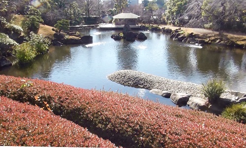 紅葉山庭園の池