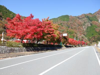 梅ケ島