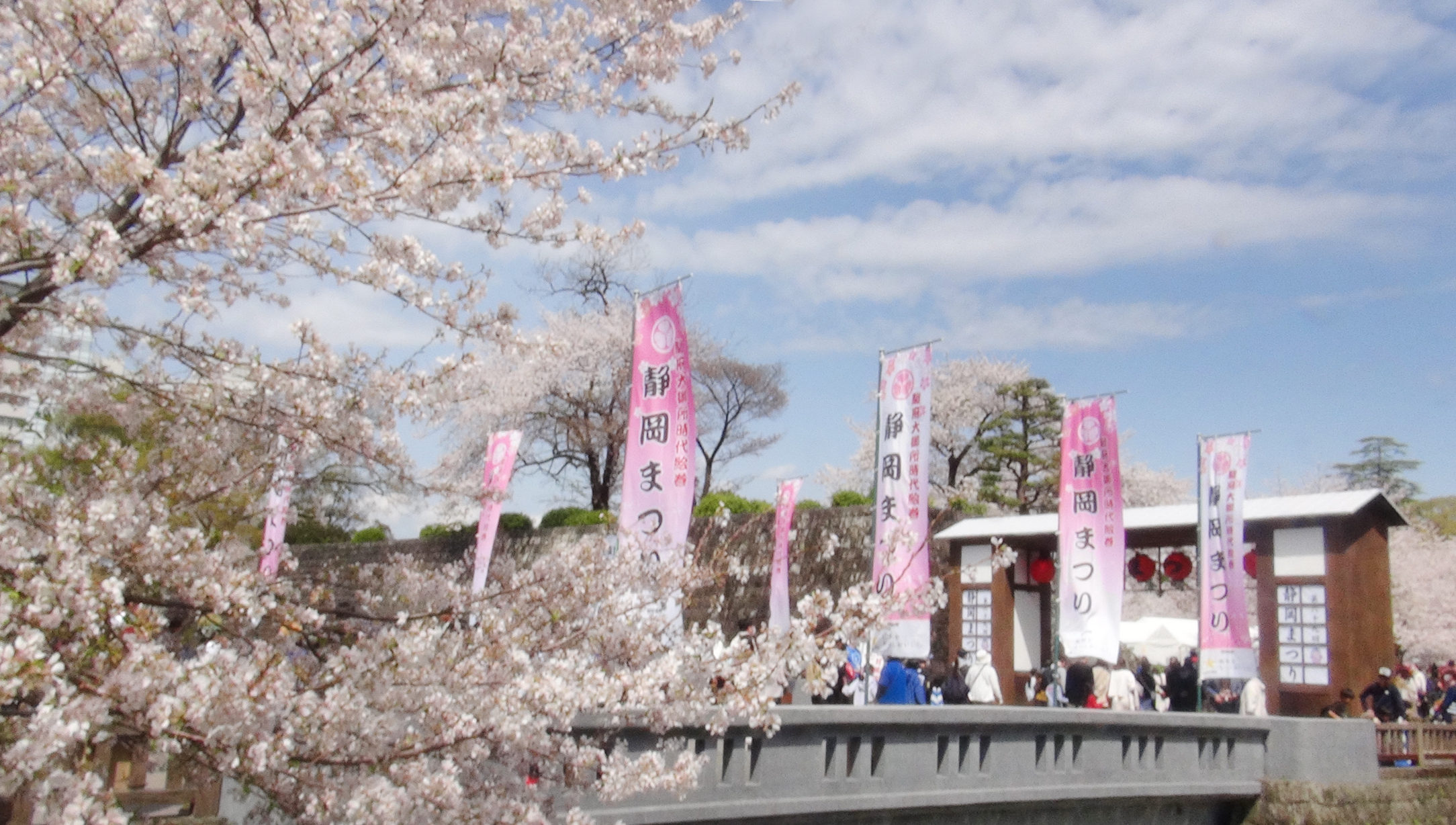 駿府城公園につながる橋から望む桜