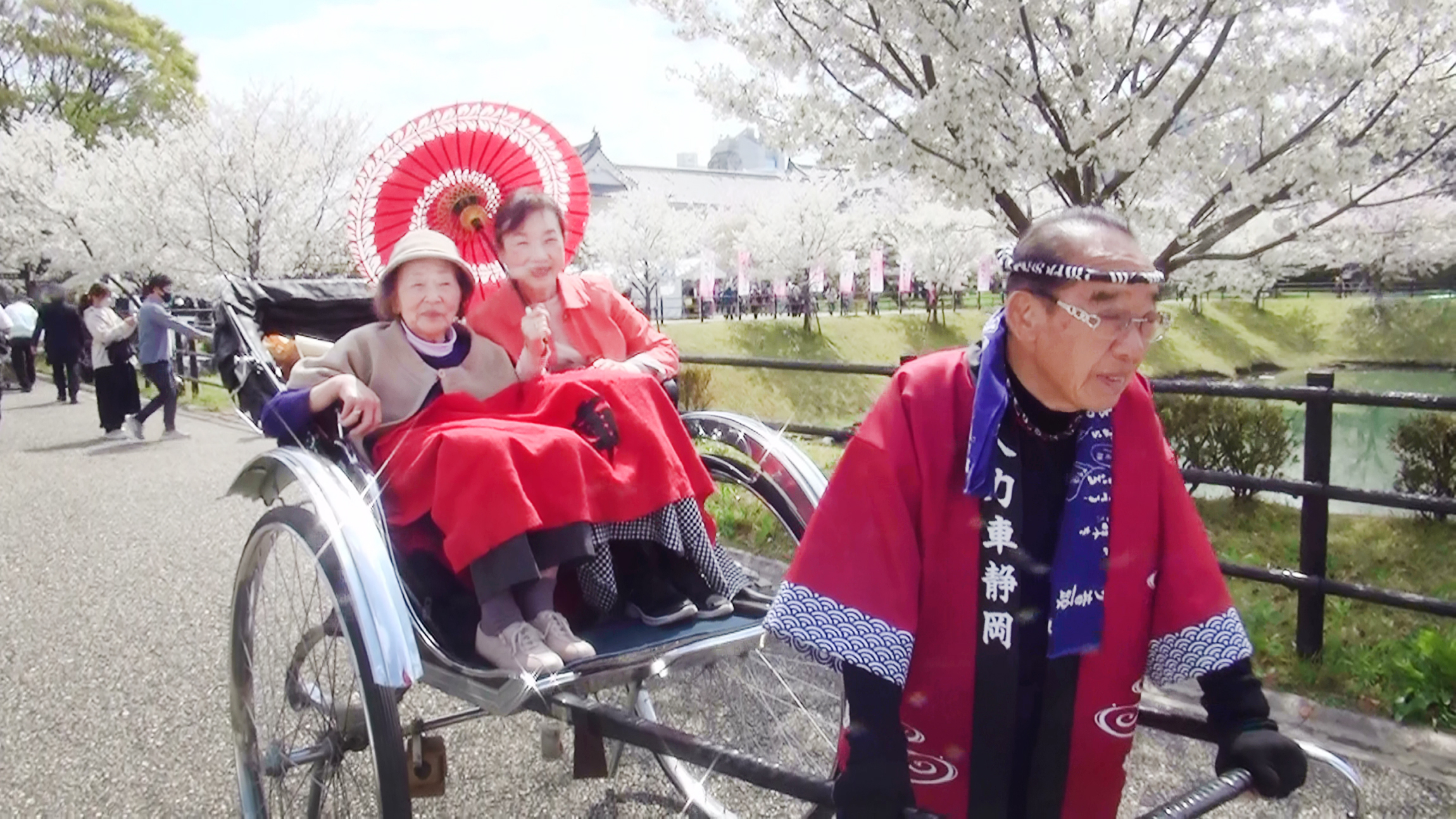 桜道の中、大八車を楽しむ観客