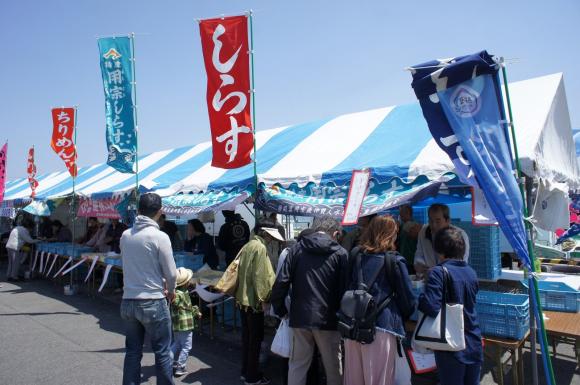 shirasu