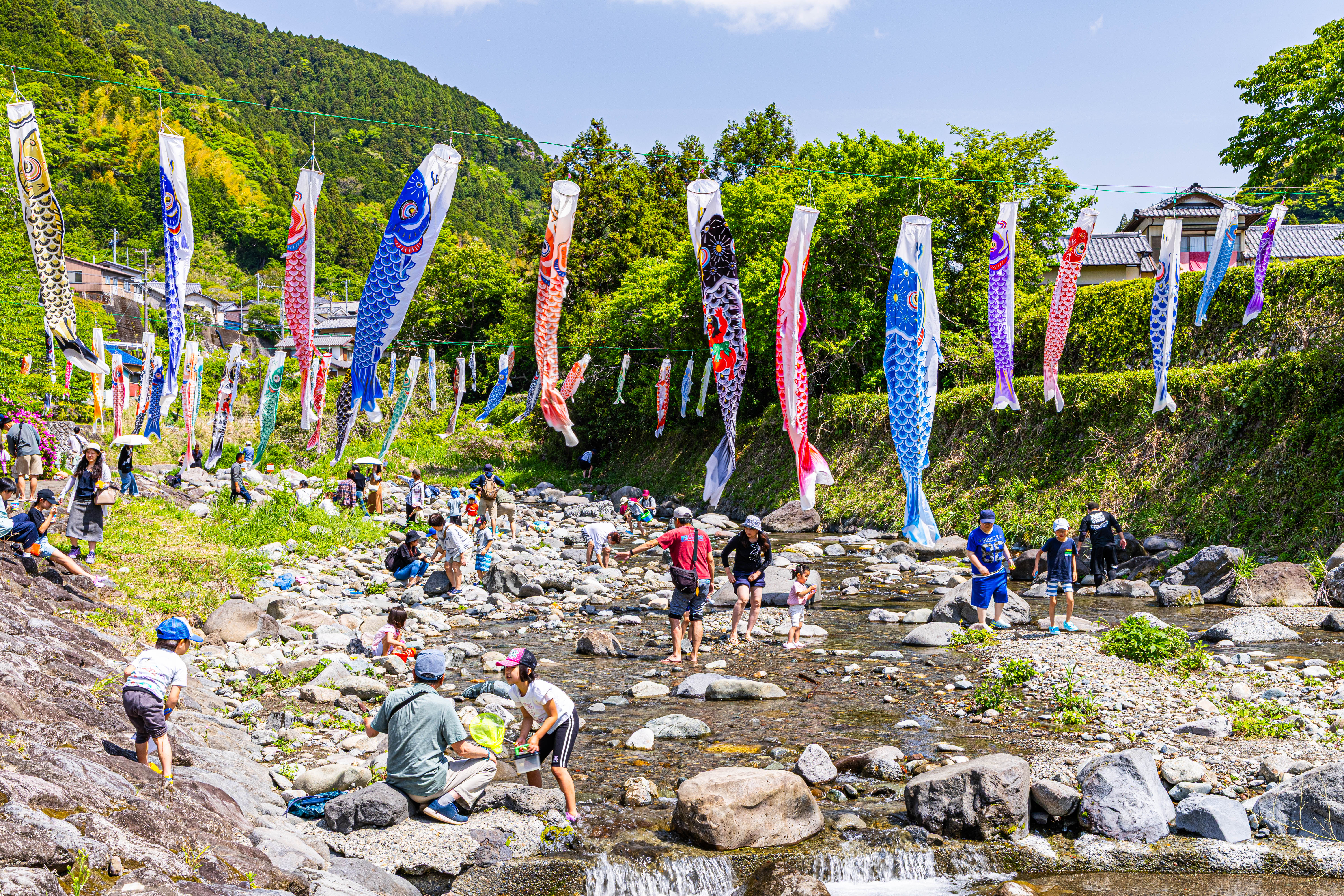 こいのぼりの下で川遊びをする様子1