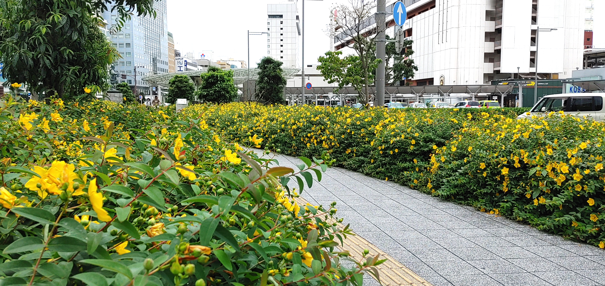 JR静岡駅前の遊歩道