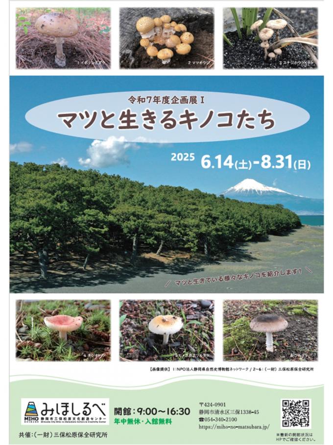 チラシオモテ