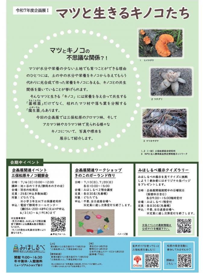 チラシウラ