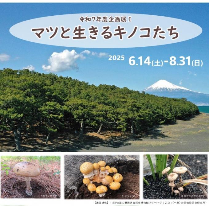 企画展「マツと生きるキノコたち」