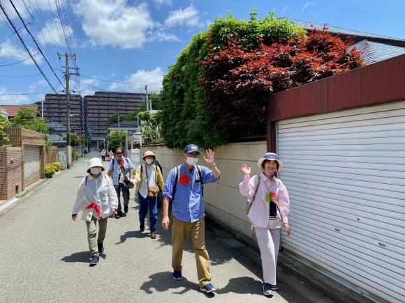 walking