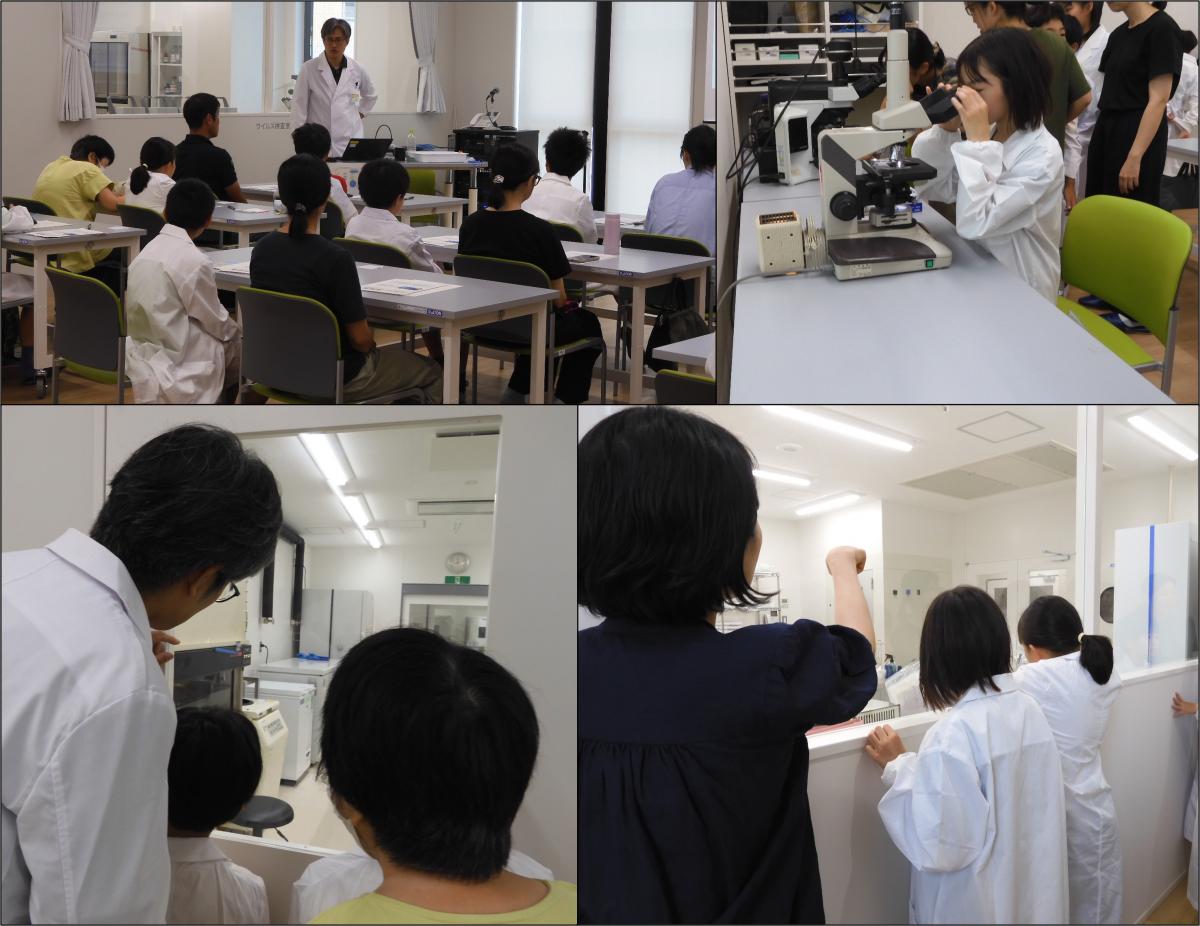 講義、見学