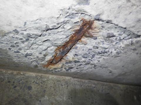 調査状況3