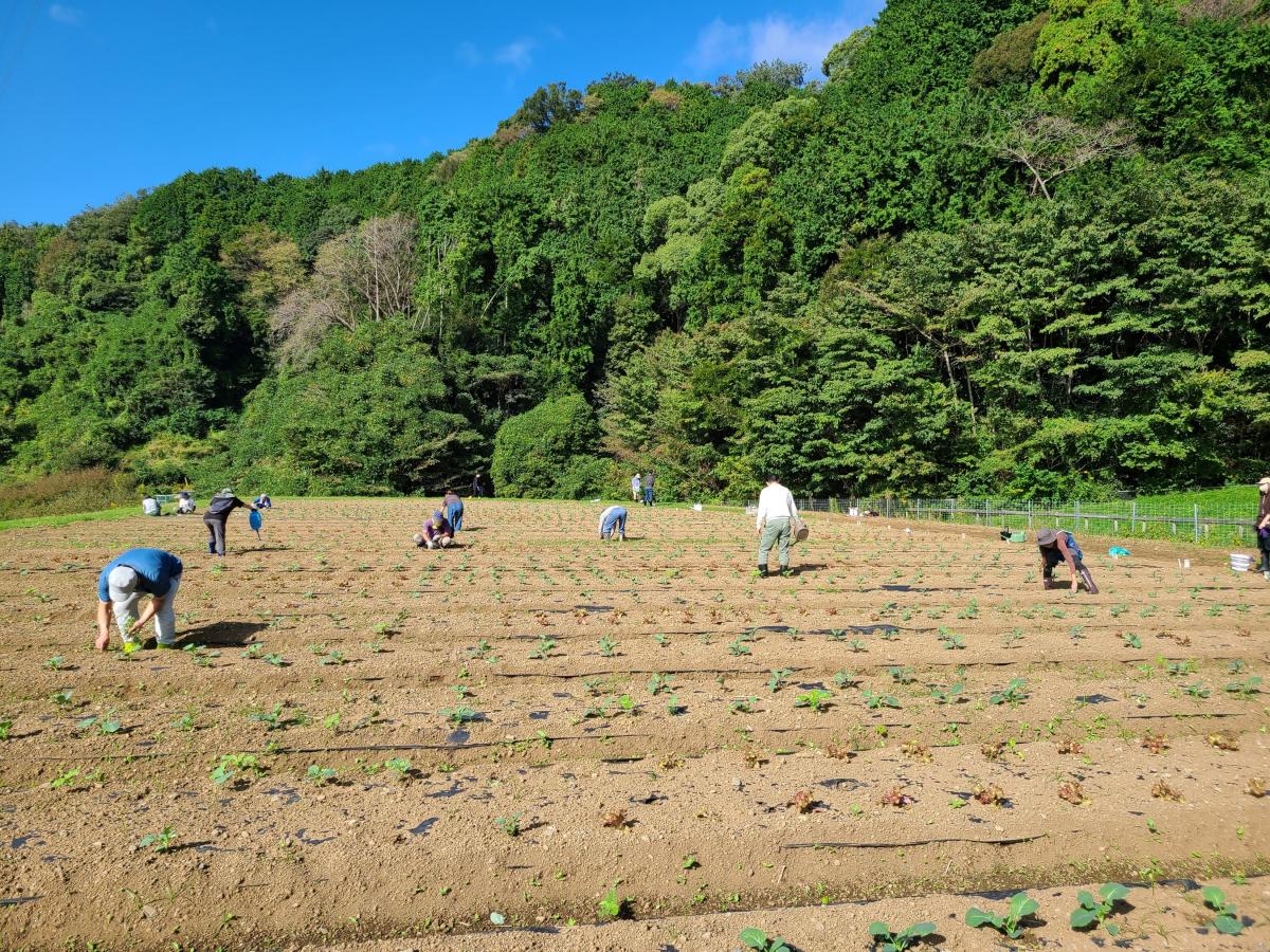 野菜づくり体験第2回講座