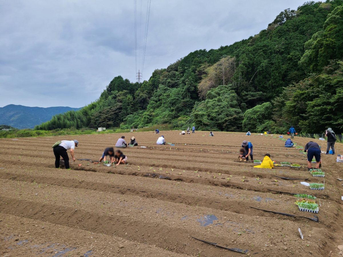 野菜づくり体験第1回講座1