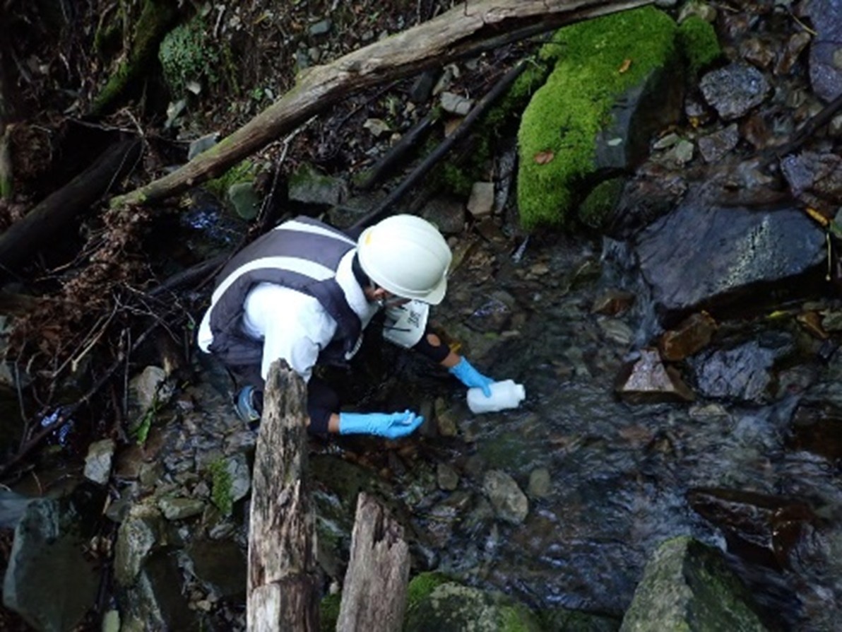 環境DNA調査の様子