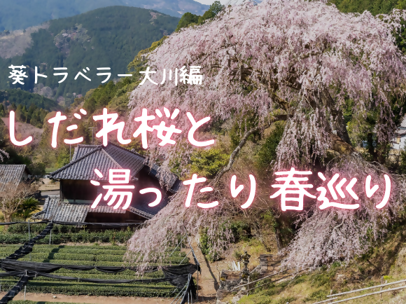 しだれ桜と湯ったり春巡り