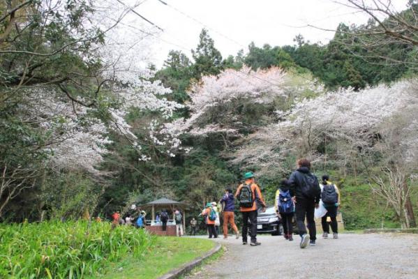 ウォーキング風景