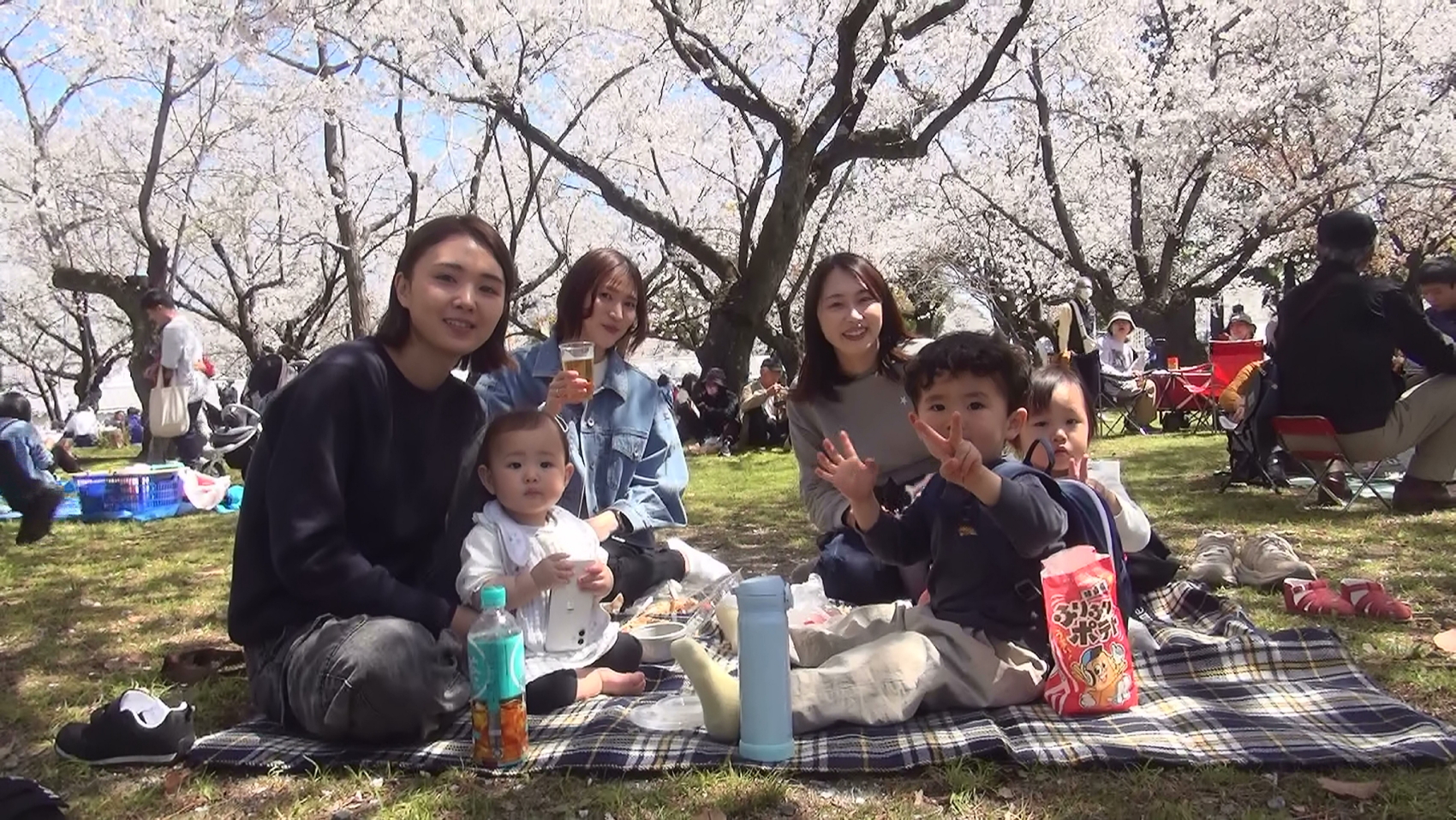 静岡まつり賑わう