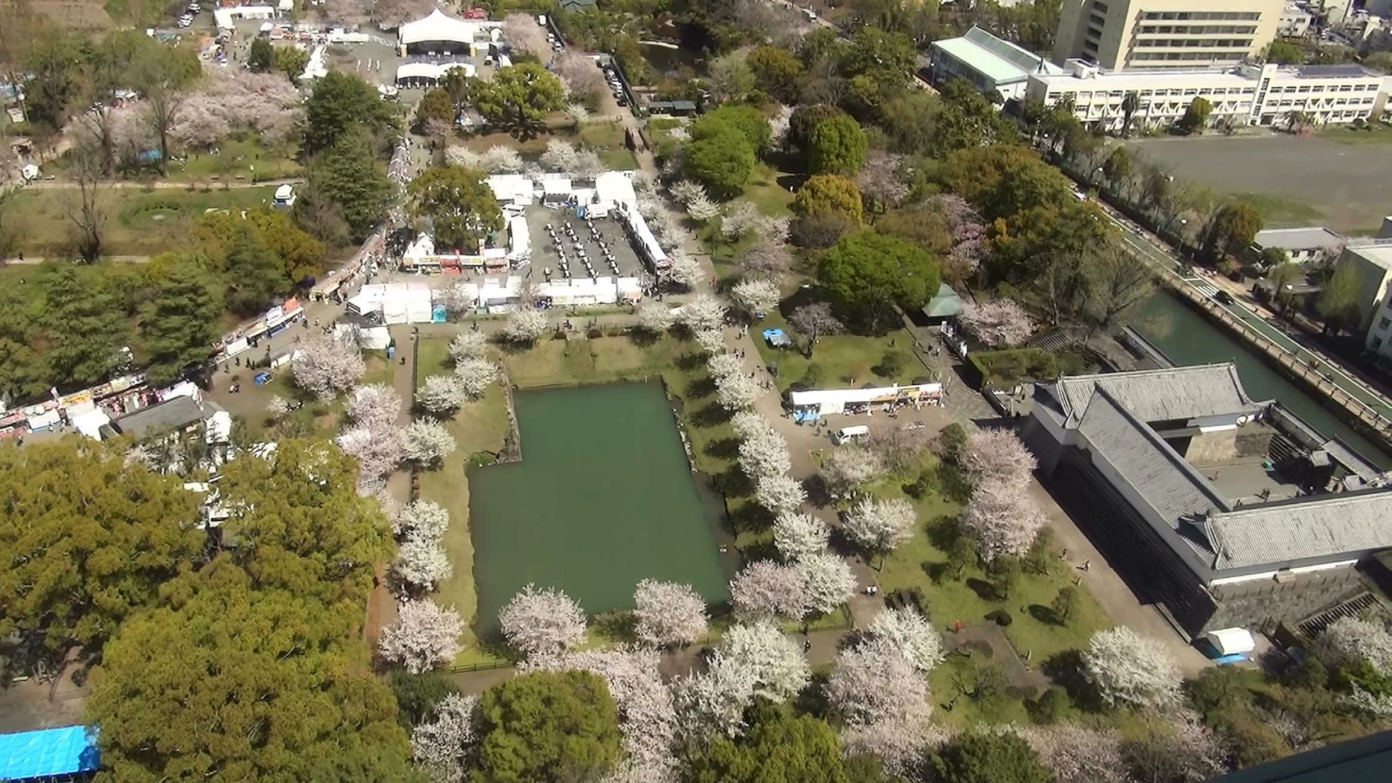 静岡まつり賑わう