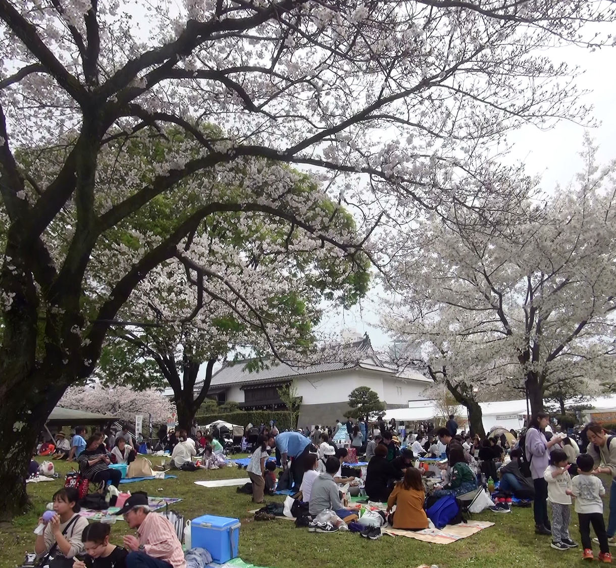 静岡まつり賑わう