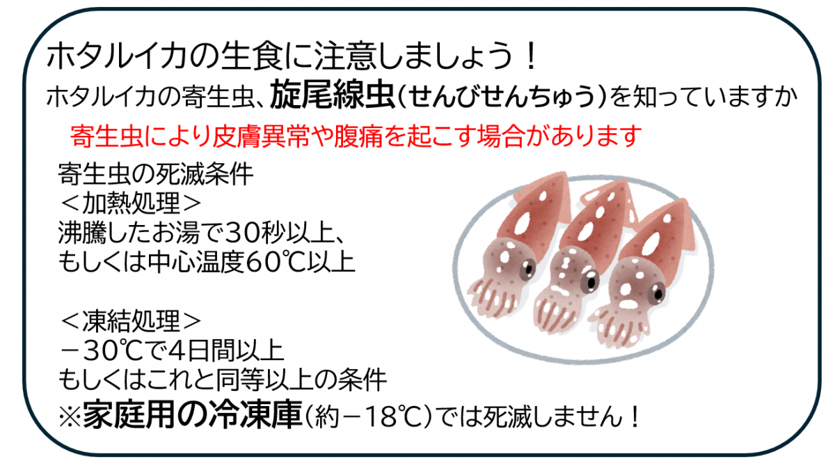 ホタルイカの生食に注意
