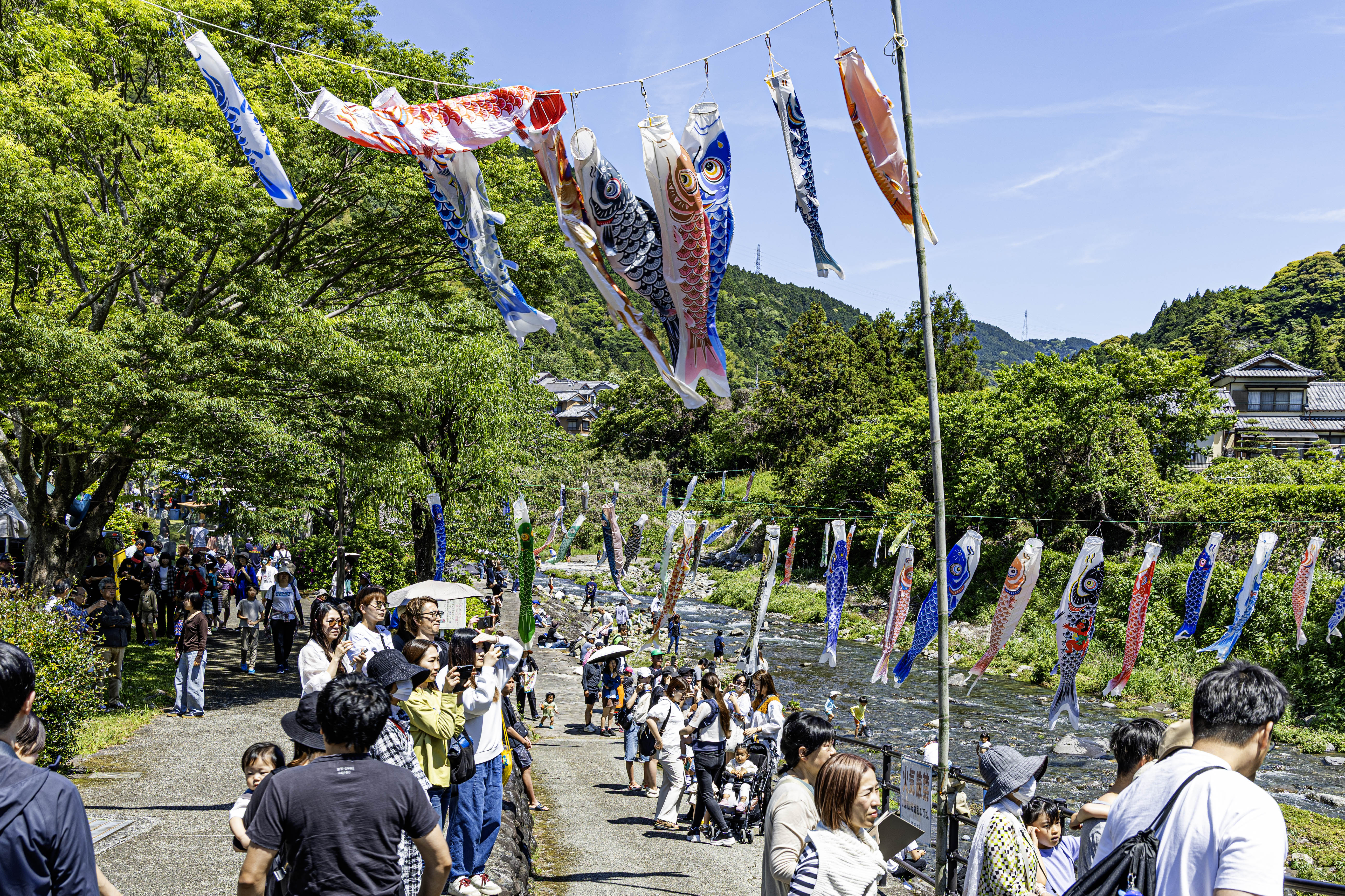 入山親水公園ふれあいまつり