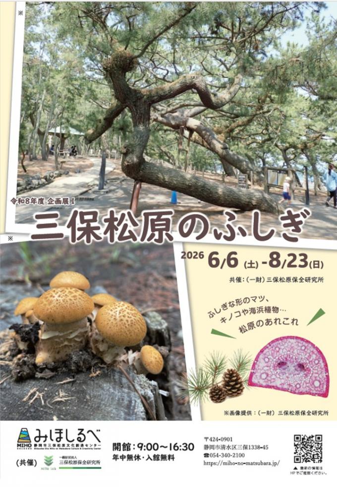 チラシオモテ