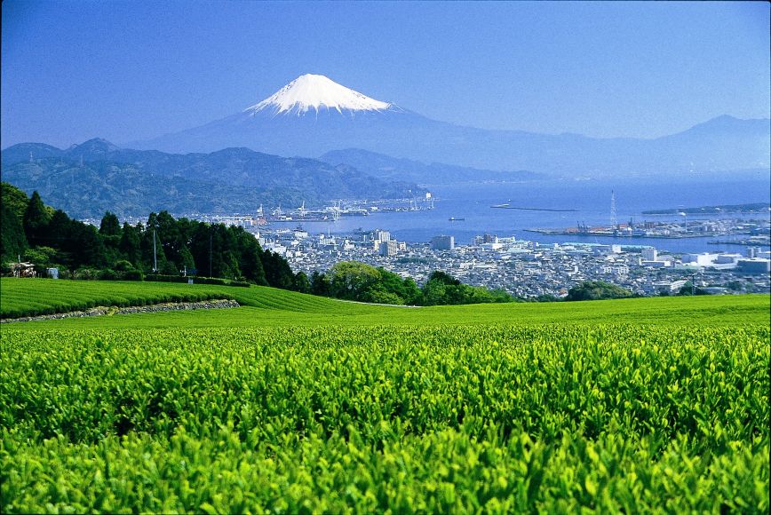 富士山