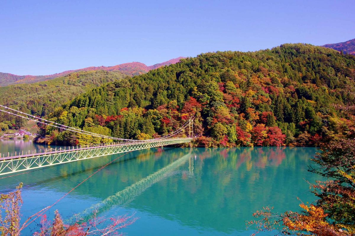 井川大橋(オクシズ)