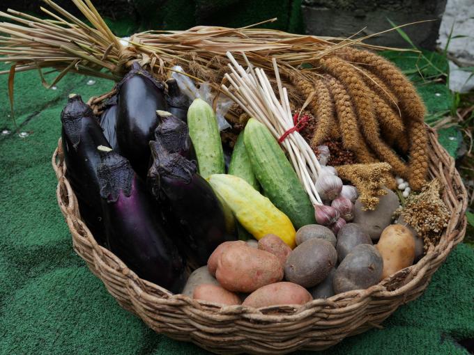 在来野菜