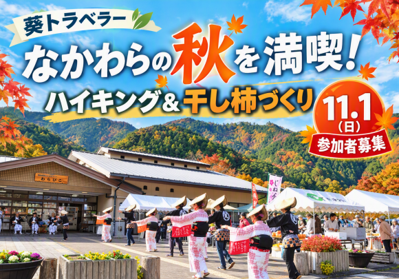 葵トラベラー中藁科編