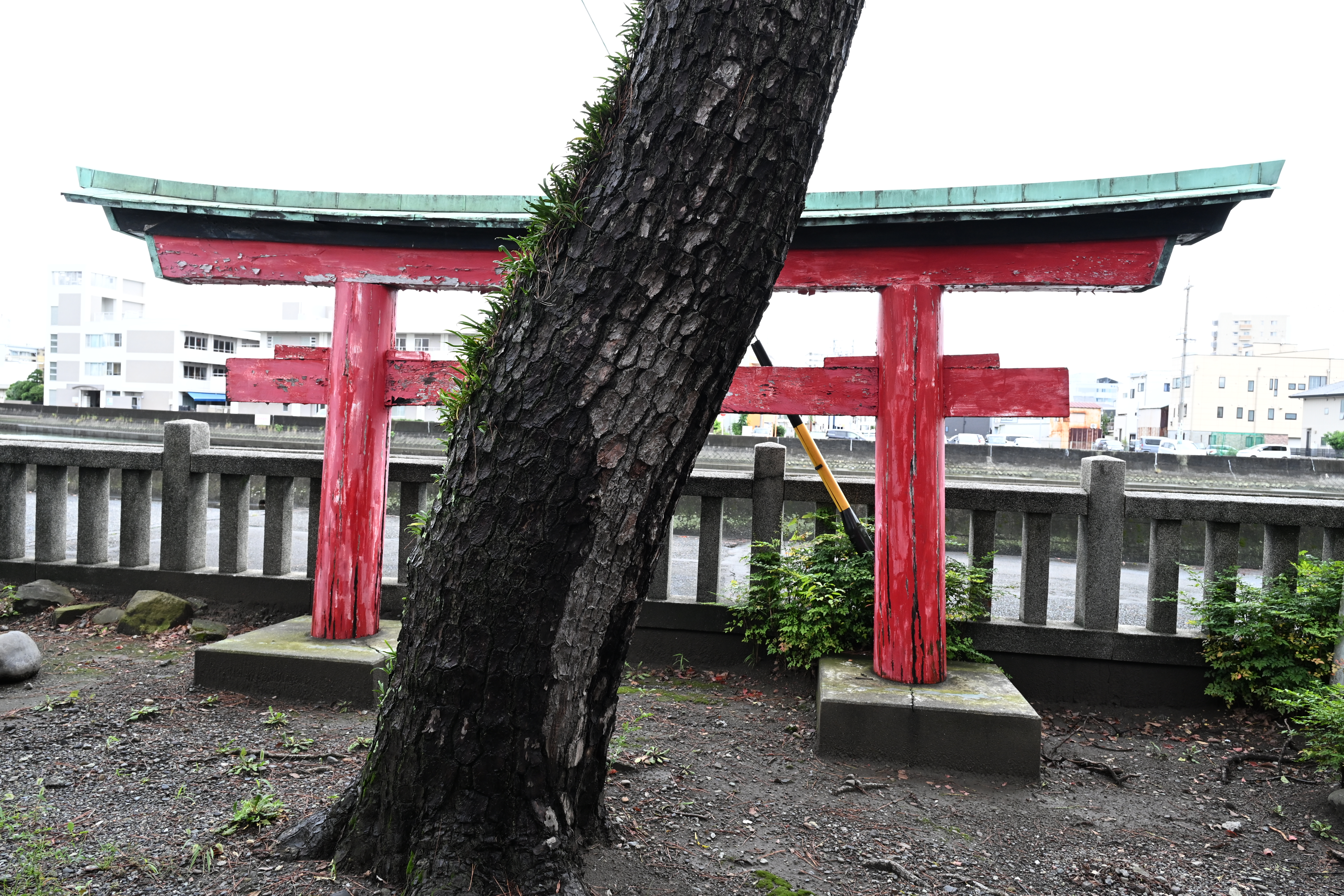 巴川界隈のちょっと面白い風景3.