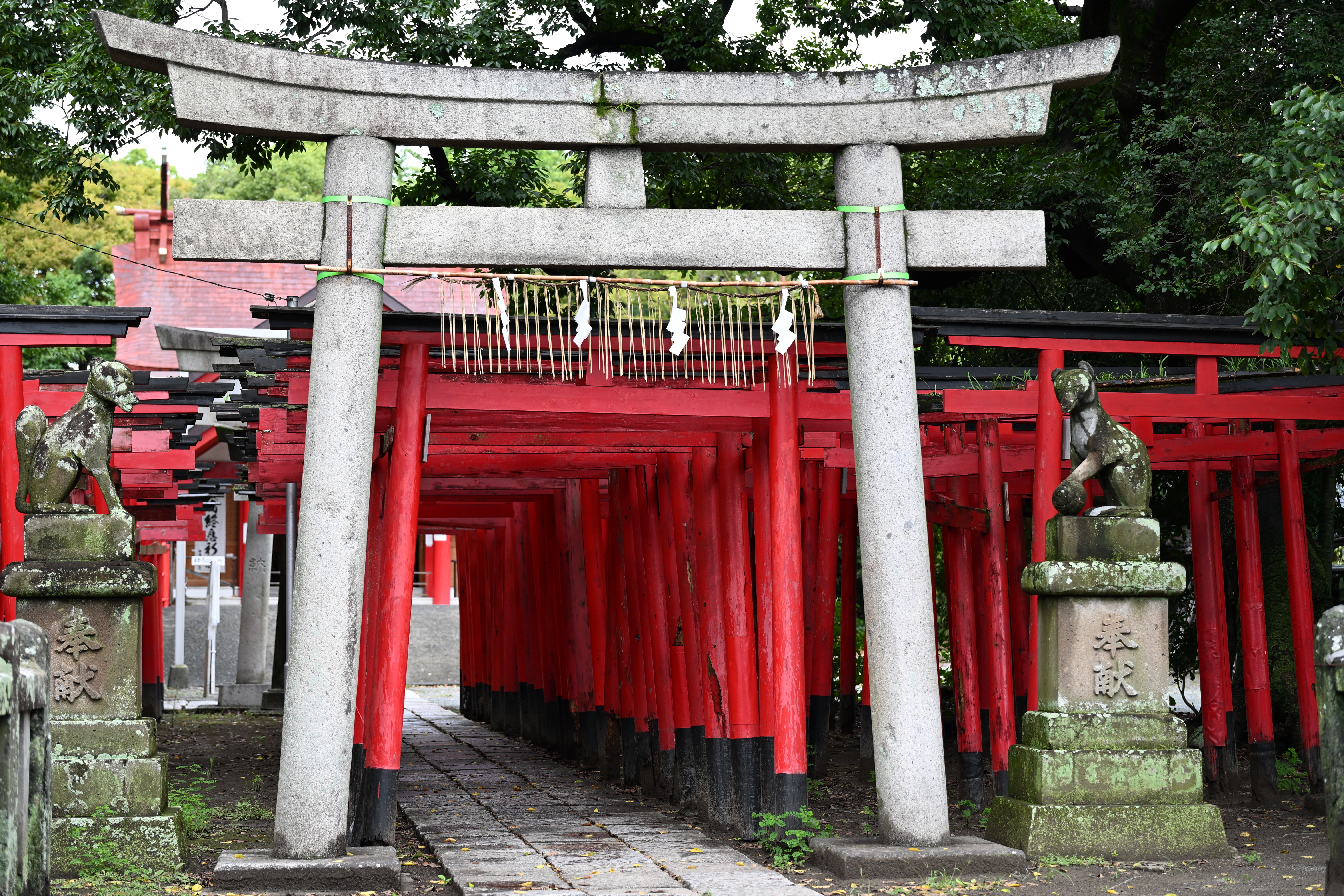 巴川界隈のちょっと面白い風景5.