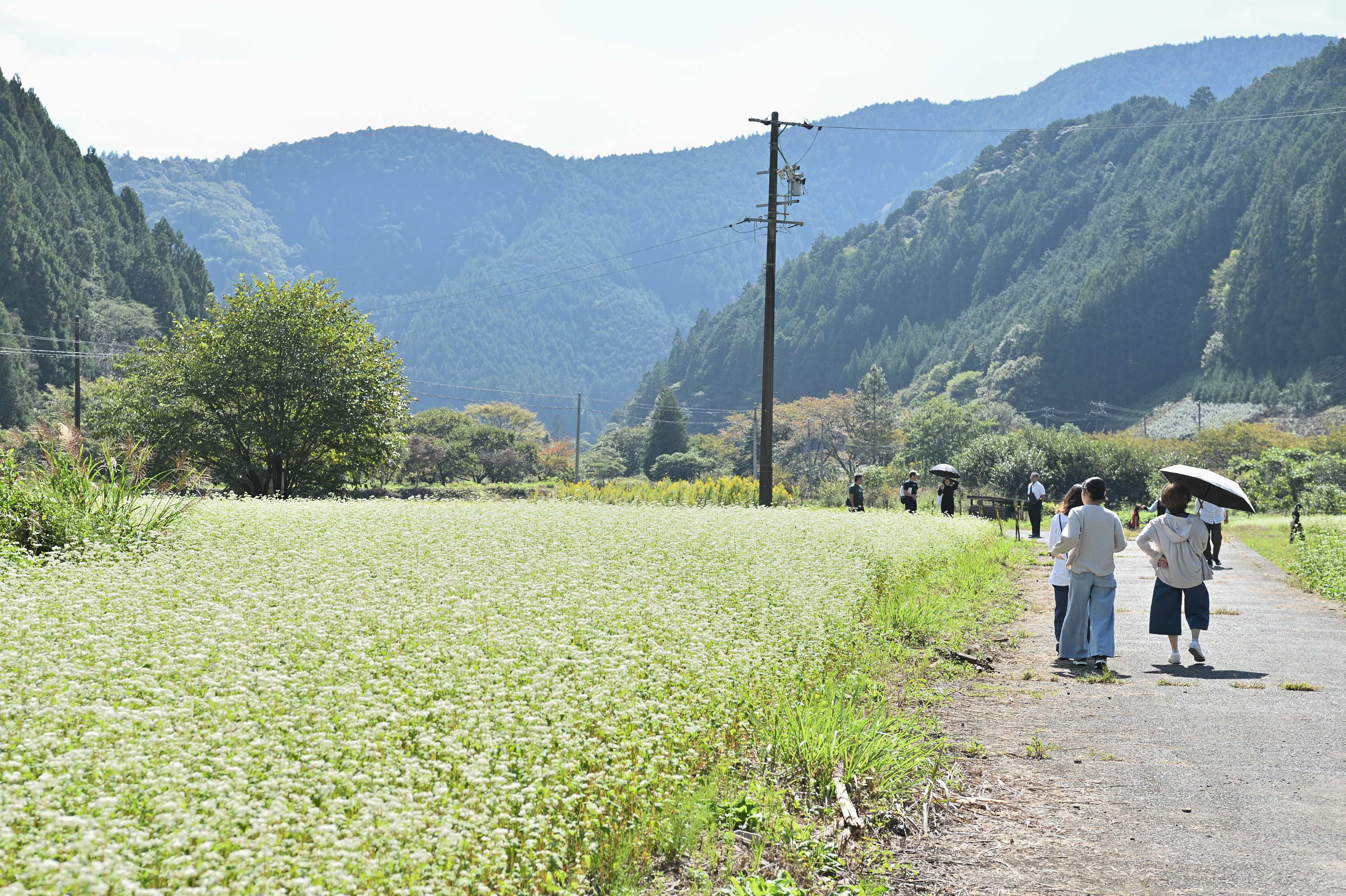 大川そばの花見会の様子1