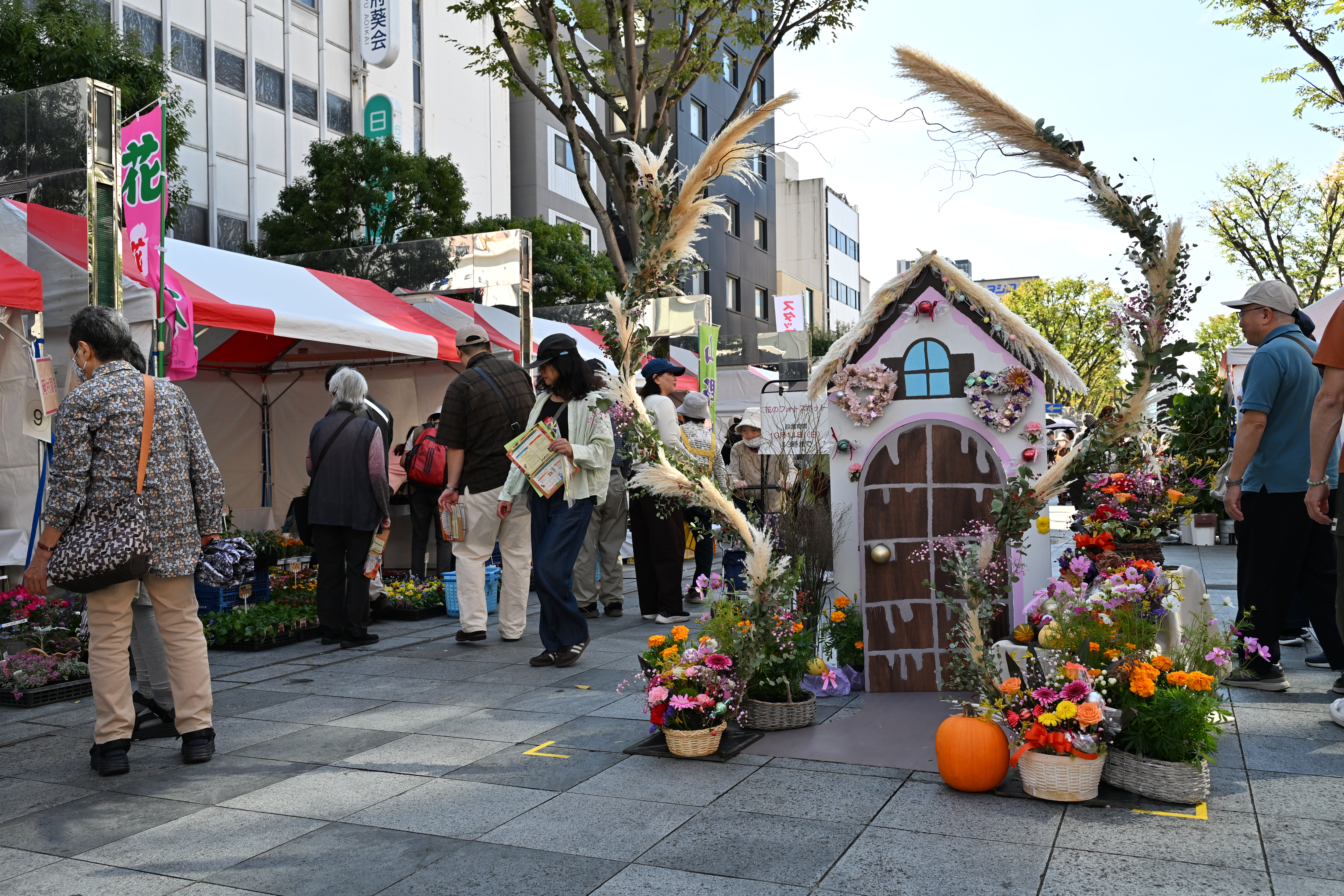 秋の園芸祭の様子2