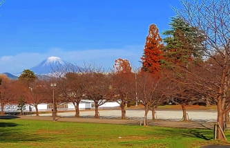 駿府城公園の紅葉と富士山