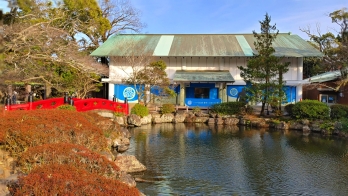 大河ドラマ館と池
