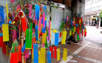 呉服町商店街のとあるお店の入口には、大きな笹いっぱいに短冊が飾られている。