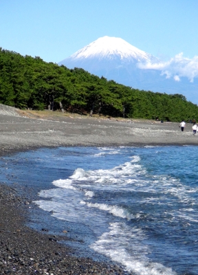 こちらも、三保海岸から富士山をとらえた写真。浜辺に打ち寄せる白い波の様子もまた美しい。