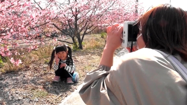 小さな女の子が、桜の木の下にしゃがみこんで楽しそうな笑顔で記念撮影をしている。