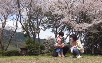 桜の木の下で遊ぶ家族