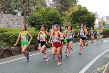 駿府城公園傍のコースを走る選手たち