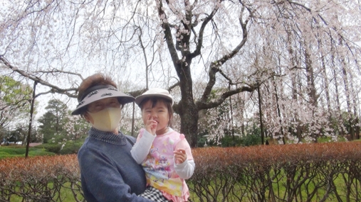 満開のしだれ桜の前で写真を撮る女性と子ども