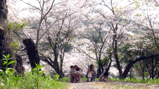 桜のトンネルの中で親子が花見をしている