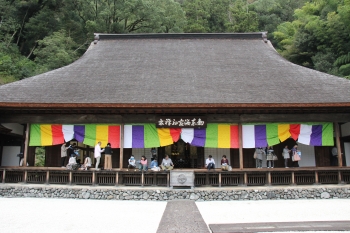 臨済寺を見学する参加者