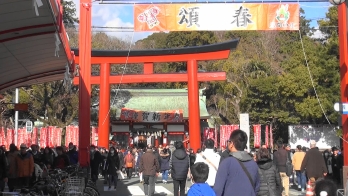 元旦の浅間神社前の赤い鳥居。多くの人で賑わっており、謹賀新年と書かれた幕が掲げられている。