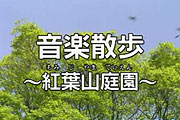 『音楽散歩「紅葉山庭園」』のサムネイル画像