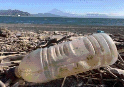 砂浜にポイ捨てされた使い捨てプラスチックの写真