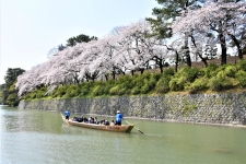 駿府城公園1