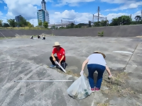 草刈りの様子