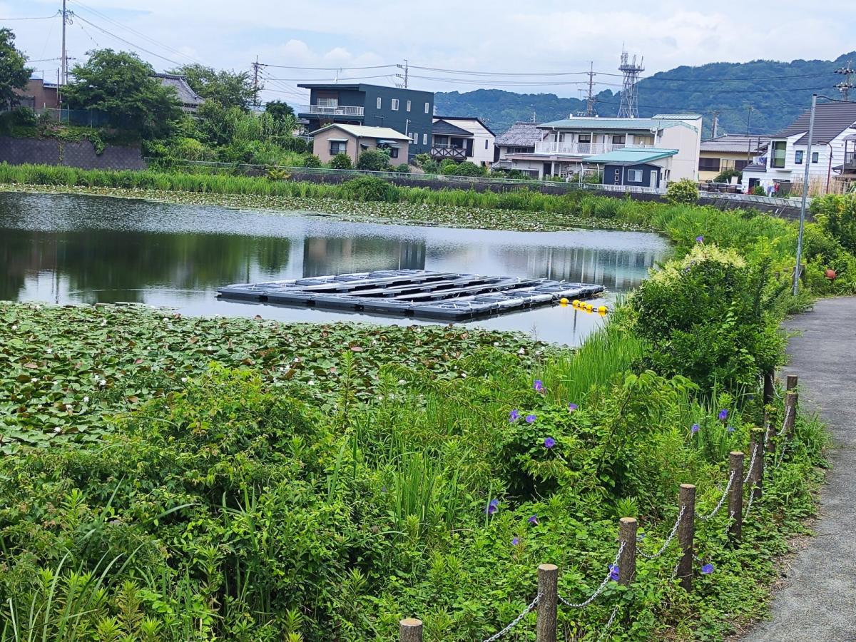 太陽光パネルが設置された上原池の近景