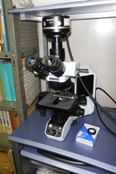 位相差顕微鏡の例