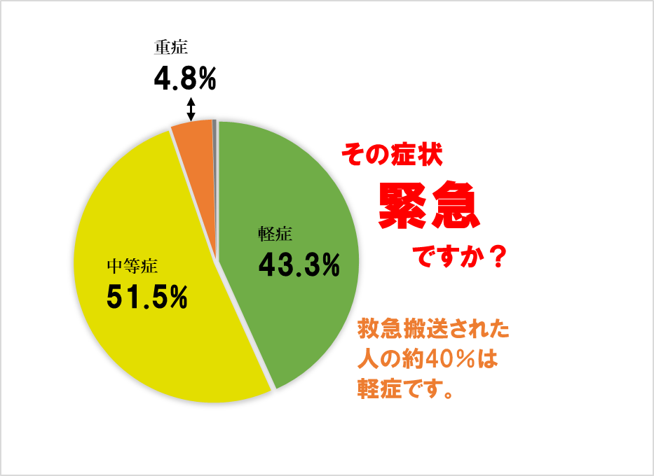 令和6年傷病程度別円グラフ